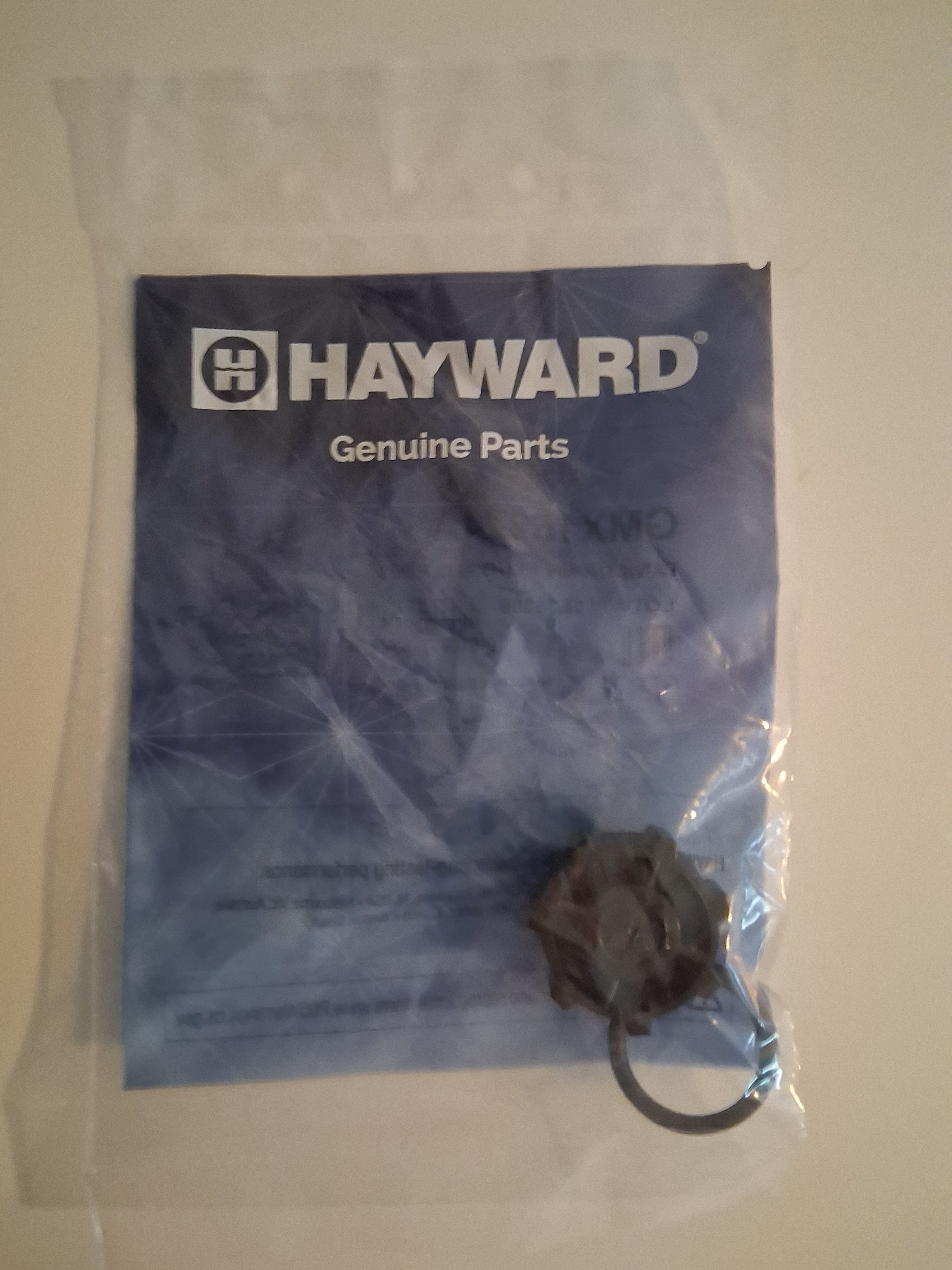 Hayward
3/4" Sand Filter Drain Plug with O-Ring