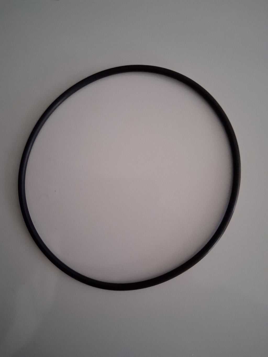Hayward Strainer Cover O-Ring SPX5500