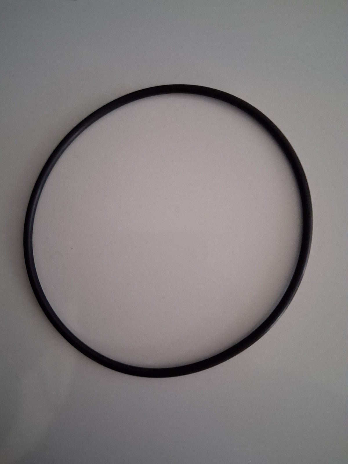 Hayward Strainer Cover O-Ring SPX5500